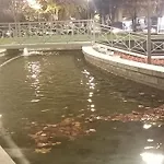 Vista A Serra *