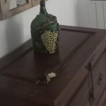 Vista A Serra דירה *